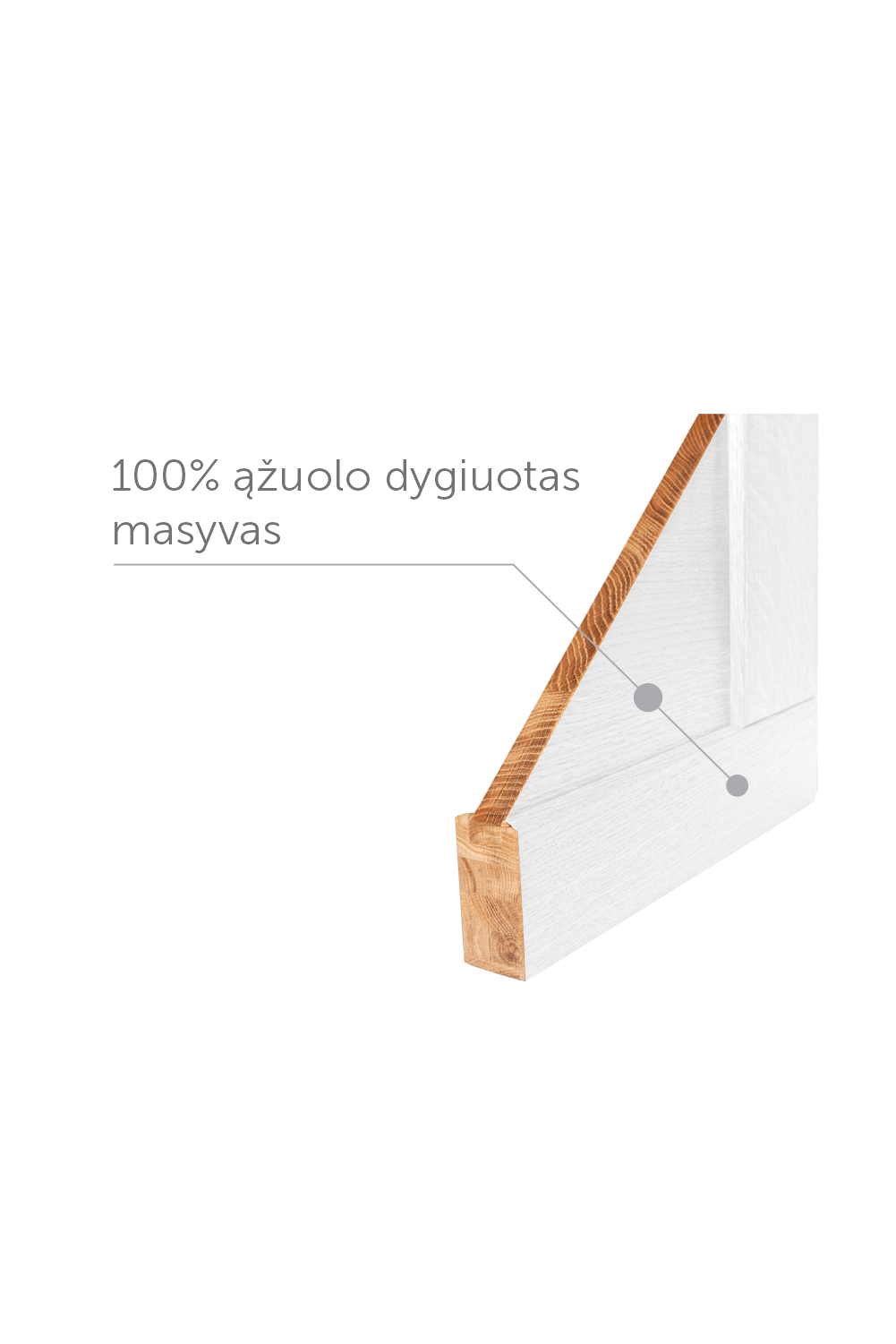 Medinės vidaus durys 