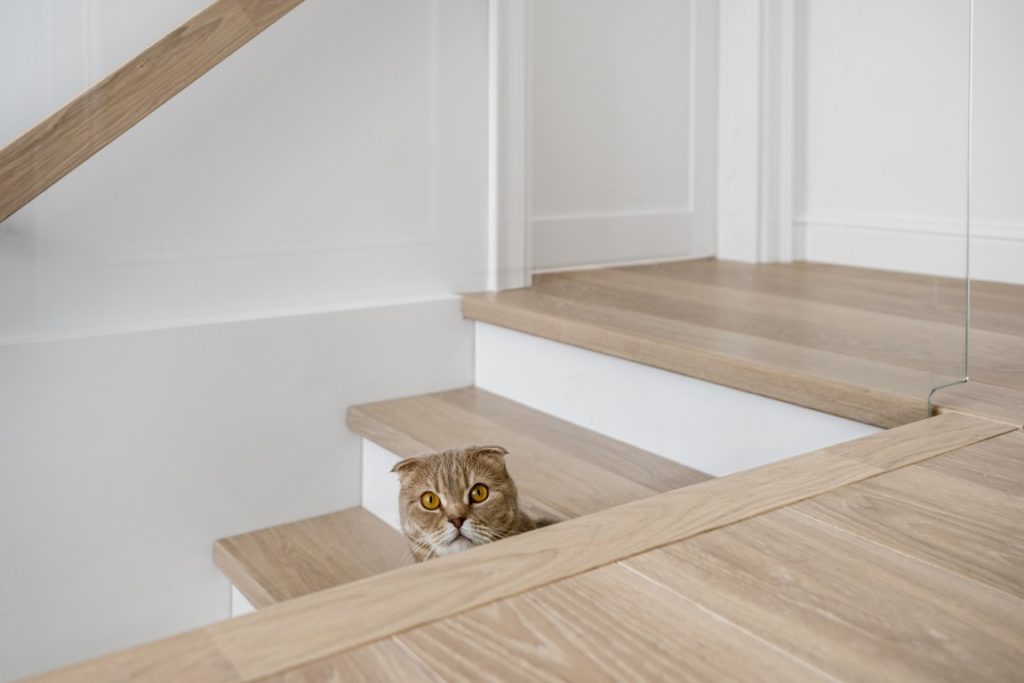 Medinės grindys, ąžuolo masyvo laiptai: spalva 3408 Balta. Medinės durys: dažytos RAL 9003, modelis ED2F.
