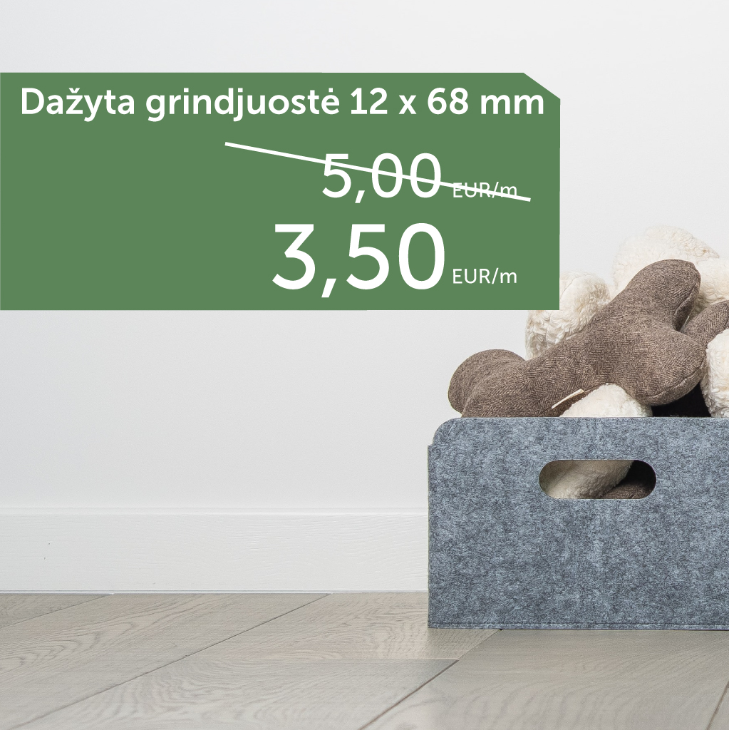 Dažyta grindjuostė  3,50 EUR/m