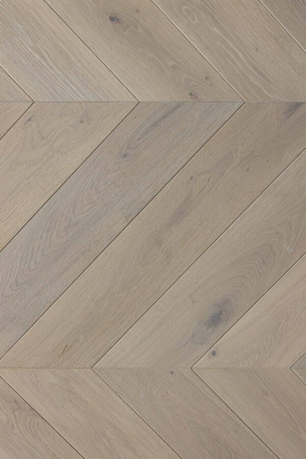 E 2410, Ivory