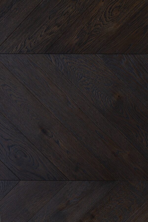 T 2895, Chiana