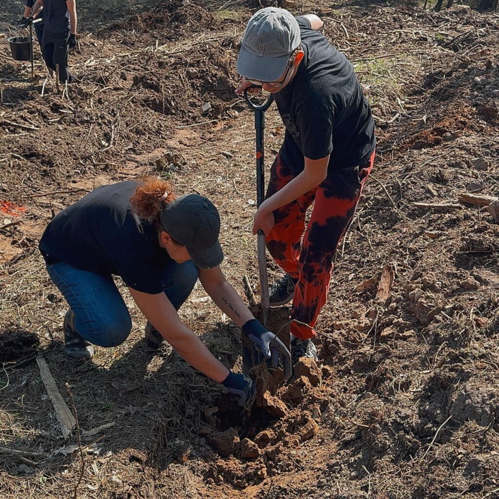 Toliau tęsiame miškasodžio tradiciją
