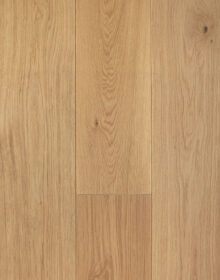 C 3020, Mocha