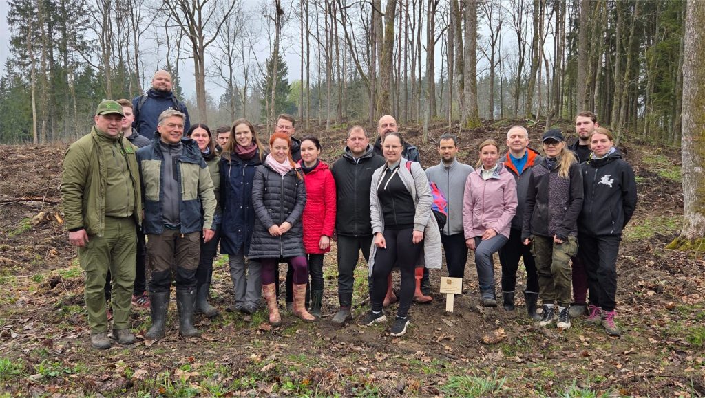 Kasmetinė miškasodžio tradicija – tvarumo iniciatyva