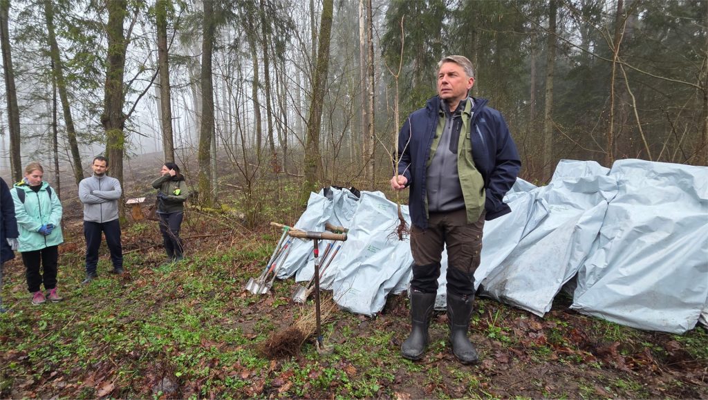 Kasmetinė miškasodžio tradicija – tvarumo iniciatyva