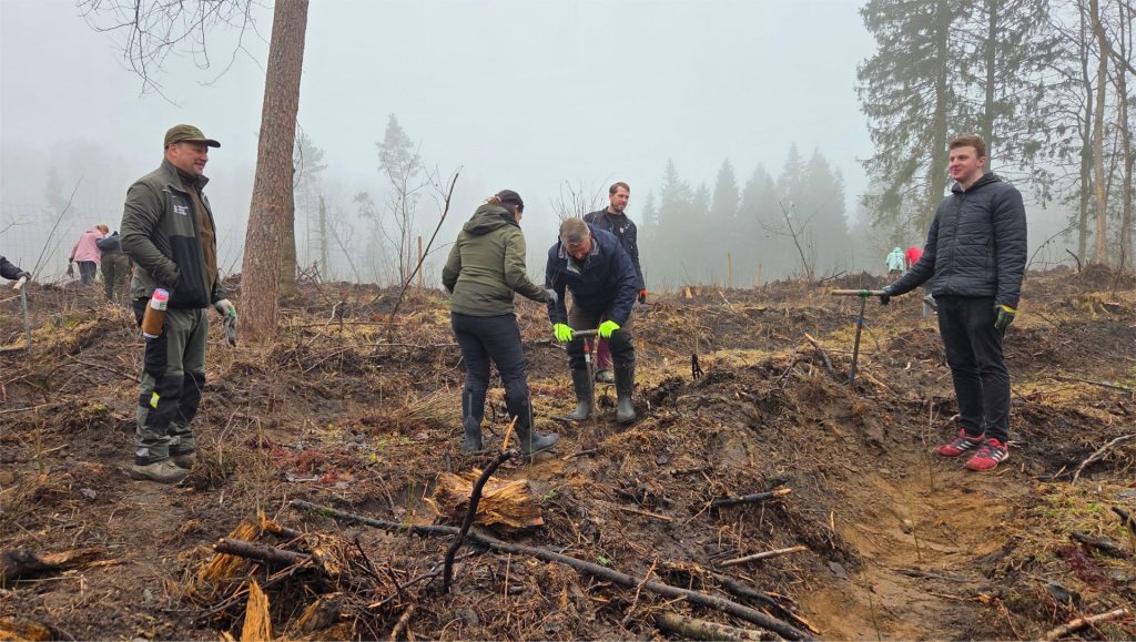 Kasmetinė miškasodžio tradicija – tvarumo iniciatyva
