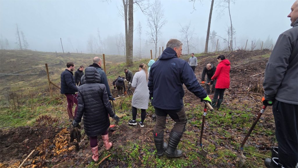 Kasmetinė miškasodžio tradicija – tvarumo iniciatyva